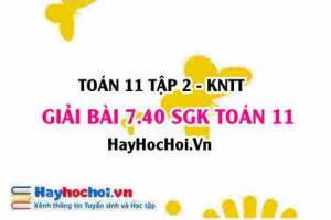 Bài 7.40 SGK Toán 11 Tập 2 Kết nối tri thức